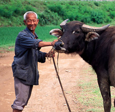 小型飼料顆粒機(jī),農(nóng)民圓夢(mèng)！